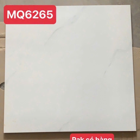 60x60cm - CERAMIC -  GLOSSY | MÃ MQ6265