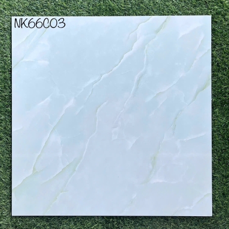 60x60cm - CERAMIC -  GLOSSY | MÃ NK66C03