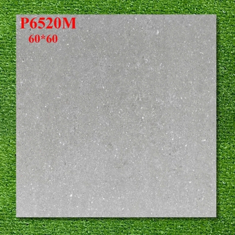 Gạch men mờ 60×60cm P6520M