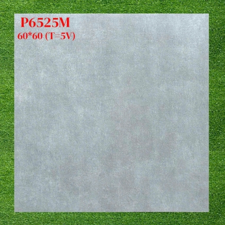 Gạch men mờ 60×60cm P6525M