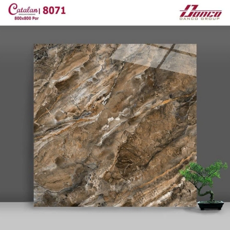 80x80cm |  Por đá tông đậm dùng ốp mặt tiền | Mã 8071