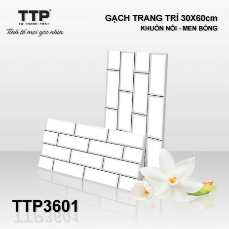 30x60cm | KHUÔN NỔI - MEN BÓNG | Mã TTP3601