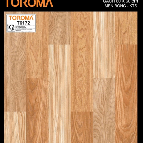 GẠCH 60x60cm | MEN BÓNG - KTS | MÃ T6172