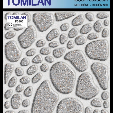 GẠCH 30x30cm | MEN BÓNG - KHUÔN NỔI | MÃ F3403